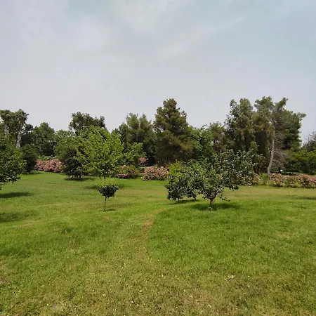 Campsite Camping Ficajole Taglio-Isolaccio